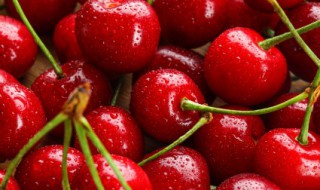 收到樱桃怎么做才可保鲜 收到樱桃怎么做才可保鲜呢