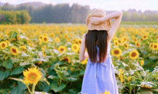 爱的优美句子（关于母爱的优美句子）