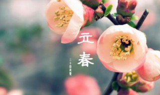 立春过后是什么节气（立春之后的节气是什么）