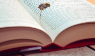 关于关爱和诚信的名言（诚信和关爱的名句）