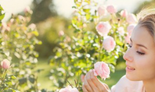 二十四节气立春朋友圈祝福语文案 二十四节气发朋友圈文案