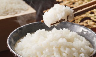 电饭煲如何做米饭（电饭煲如何做米饭好吃）