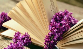 父亲像什么比喻句 父亲像什么比喻句100字