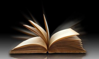 饭圈P2P是什么意思(饭圈的网络意思)