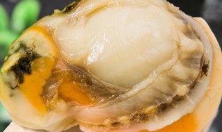 熟扇贝怎么保存（熟扇贝怎么保存不会坏）