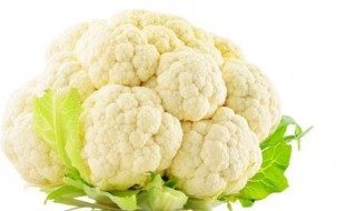 花菜怎么保存时间长 花菜保存多久