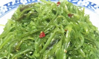 海裙菜怎么炖着吃（海裙菜怎么炖着吃最好）