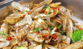 蛏子是海鲜还是河鲜(蛏子是不是海鲜)