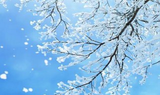 关于下雪的唯美短句有哪些（关于下雪的唯美短句有哪些呢）