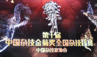 金菊花奖什么意思 金菊奖是第几名