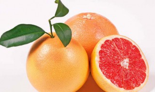 柚子能和柠檬一起榨汁吗 西柚和柠檬可以一起榨汁吗