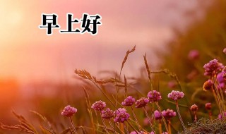 早上好祝福语优美句子2021年（早上好祝福语优美句子2021年岁）