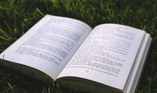 形容独立自强的格言(形容独立自强的名人名言)