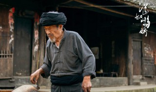 江山如此多娇一共多少集（江山如此多娇一共多少集啊）