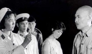 秘密图纸演员表（秘密图纸演员表介绍）