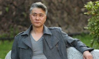 暗战危城演员表（电视剧暗战危城演员表）