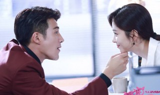 狐狸的夏天第一季演员表 狐狸的夏天第二季演员介绍