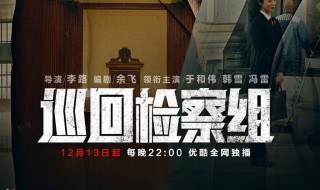 巡回检察组郑锐是谁演的（巡回检察组的郑锐是谁演的）