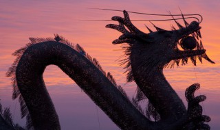 舞龙舞狮传统文化介绍 舞龙舞狮传统文化介绍幼儿园