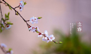 2021立春节气早安问候语发朋友圈（2021年春节祝福语发朋友圈）