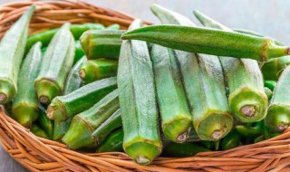 秋葵有虫子还能吃吗 秋葵有虫子还能吃吗图片