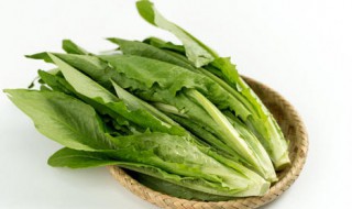 油麦菜是不是莴笋叶 油麦菜是不是莴笋叶菜