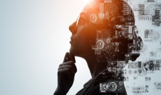 智慧元素指的是什么元素 智慧元素指的是什么元素的意思