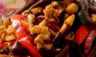 黑鸡枞炒肉如何做（黑鸡枞炒肉如何做菜）