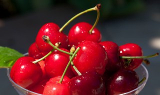 车厘子冷冻后能吃吗（车厘子冻了可以吃吗）