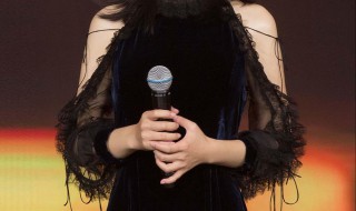 手持话筒有杂音滋滋怎么解决 话筒有杂音怎么回事