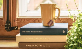 含有星星的优美句子（含有星星的优美句子简短）