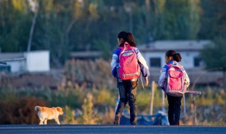 上学路上的景物描写（上学路上的景物描写句子30字）