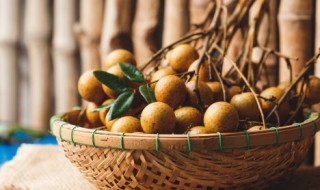 冬季如何保存鲜龙眼 冬天新鲜龙眼怎么保存