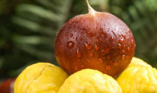 冬季板栗大量保存方法(冬季板栗怎么保存)