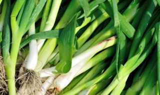 冬季大蒜叶子怎么保存 大蒜叶子怎么保鲜