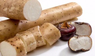 冬季山药最佳保存方法 冬季山药最佳保存方法图片