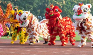 舞龙舞狮的动作描写 舞龙舞狮的动作描写句子