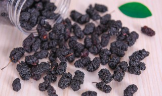 桑葚是碱性还是酸性 桑葚是酸性还是咸性