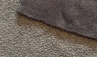 摇粒绒面料的特点 摇粒绒面料的特点有哪些