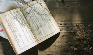 百岁之好一言为定的意思 百岁之好一言为定这句话什么意思