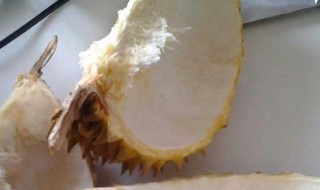 榴莲壳是厨余垃圾 榴莲壳是厨余垃圾不