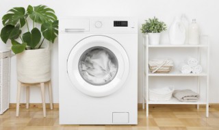 洗衣机水排不出去是怎么解决 洗衣机水排不出去是怎么解决方法