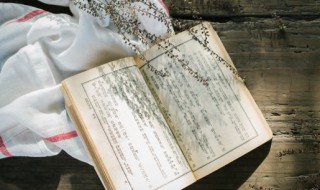 任伯年简介 画家任伯年简介