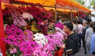 迎春花市卖什么好 迎春花市卖什么赚钱