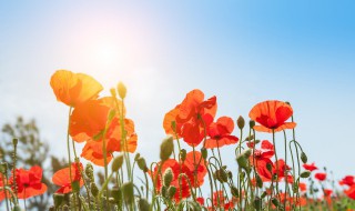 正能量朋友圈秒赞句子（正能量发朋友圈秒赞）