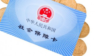 社保手机交不上怎么办 社保手机交不上怎么办理