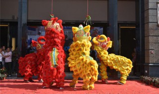 舞狮采青用的是啥蔬菜（舞狮采青用的是啥蔬菜种子）