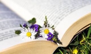 欲望是什么 欲望解释