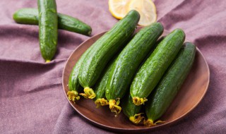 西红柿黄瓜是水果还是蔬菜 西红柿黄瓜是水果吗