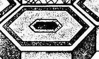 纹孔有哪几种类型各有何特征 纹孔有什么类型各有何特征